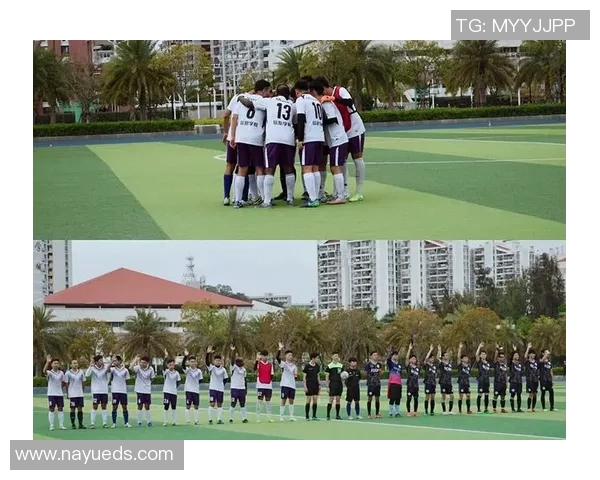 深圳足球队在冠军赛中的战术解析与表现评估